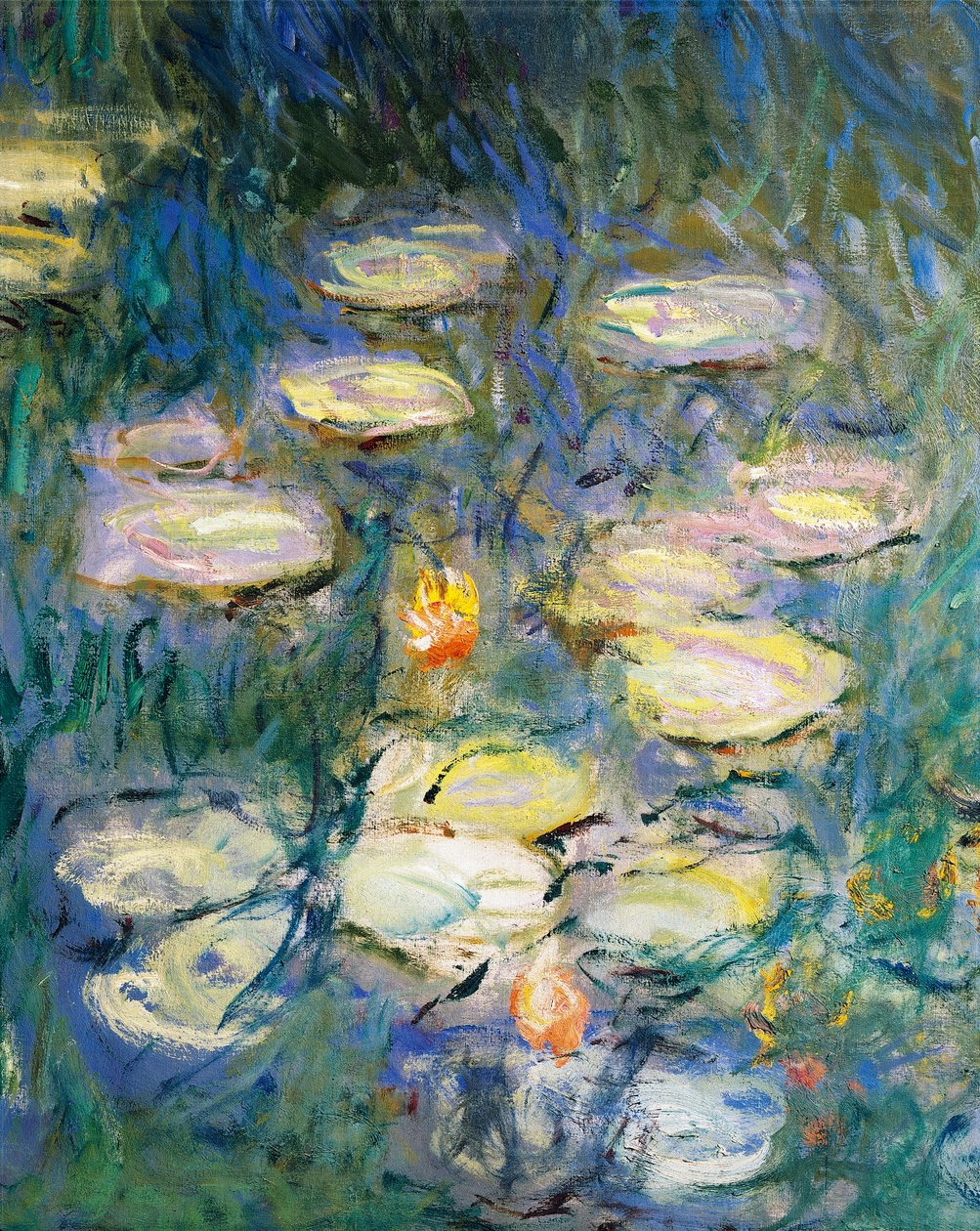 Ninfee, di Claude Monet (dettaglio) da Claude Monet