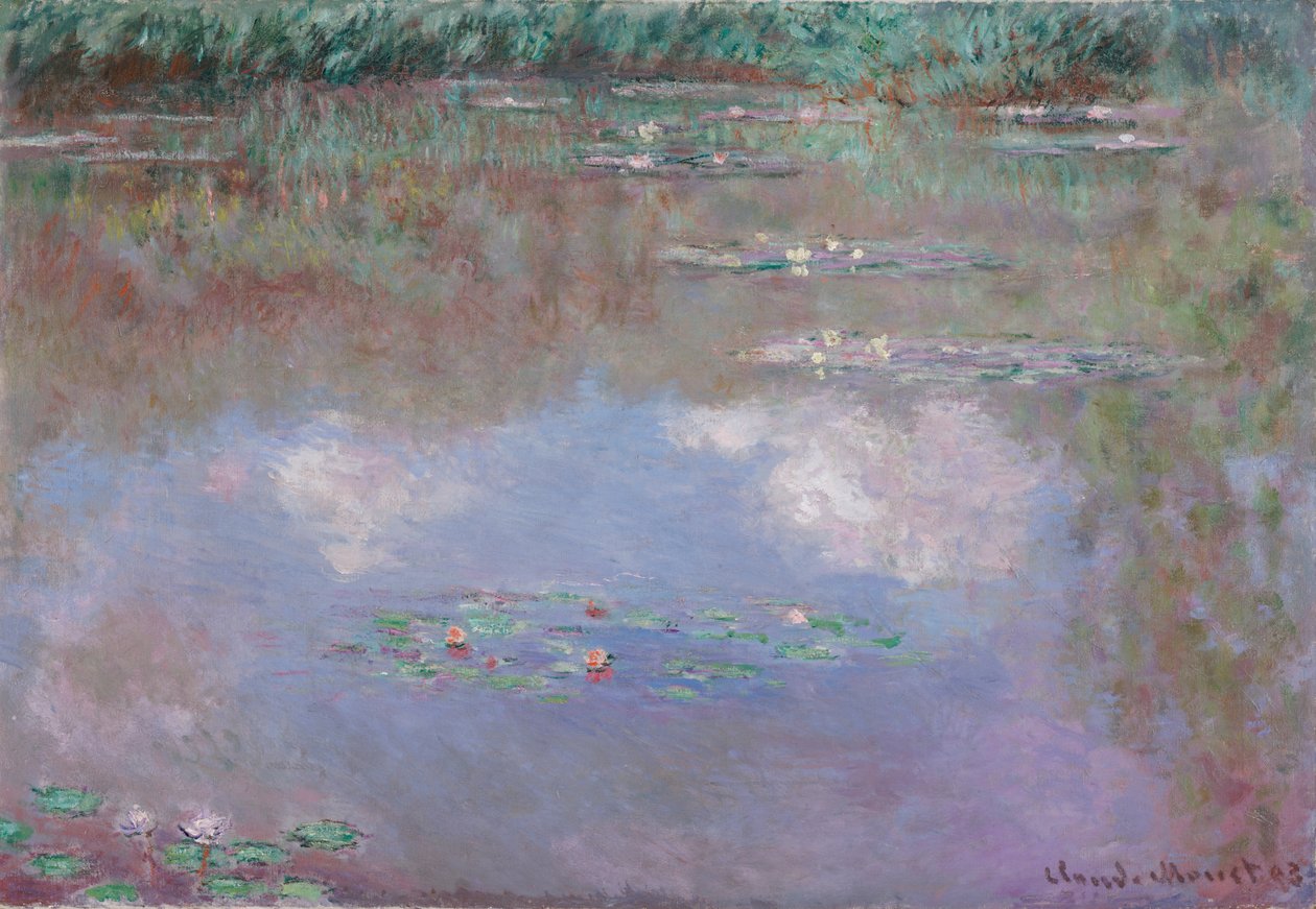 Ninfee, la nuvola, 1903 da Claude Monet