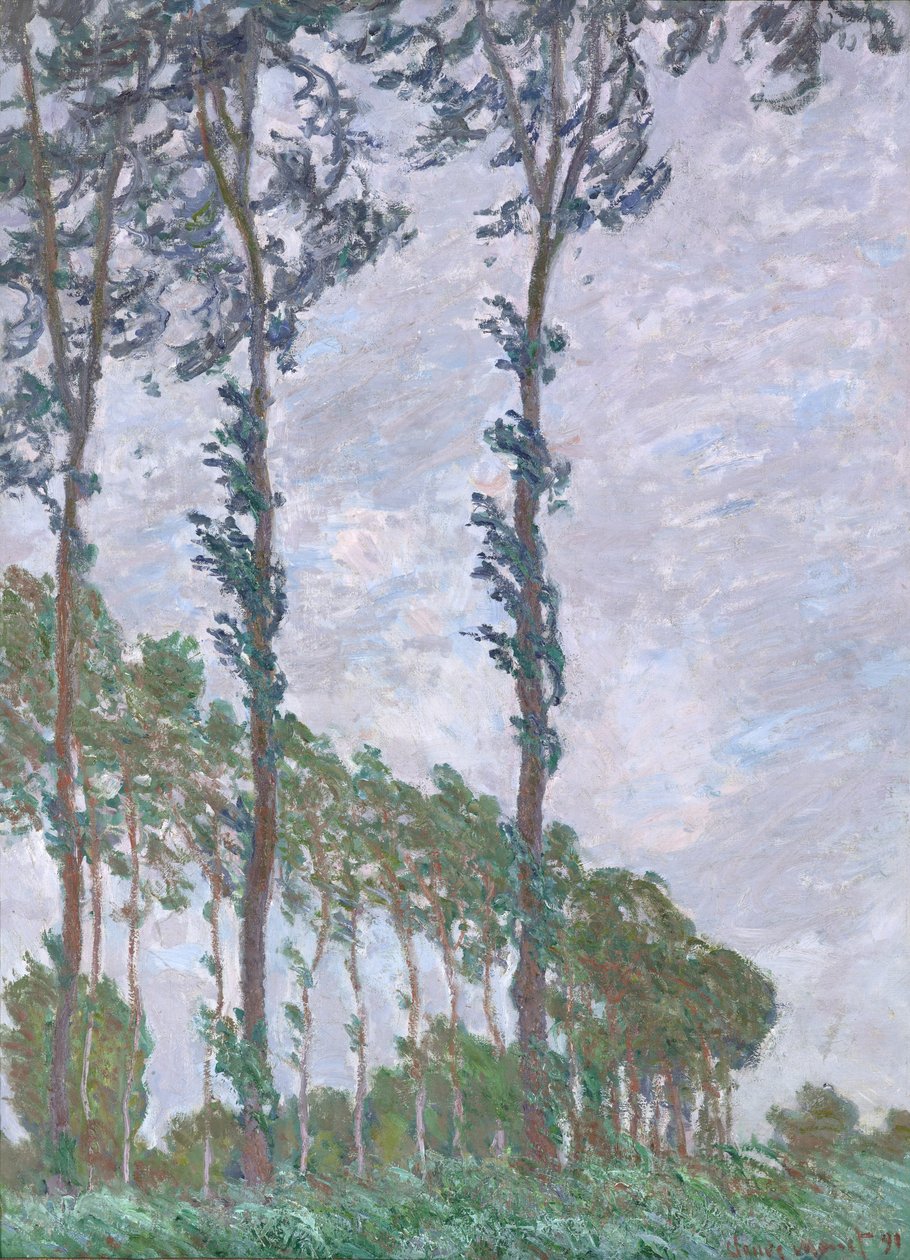 Effetto del vento, serie dei Pioppi, 1891 da Claude Monet