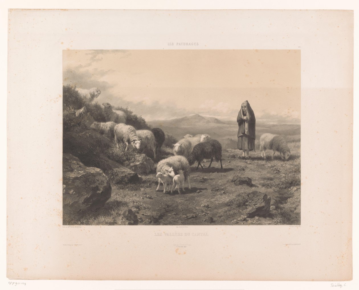 Pastorella con pecore nella pianura di Cantal (serie I pascoli) da Claude Thielley