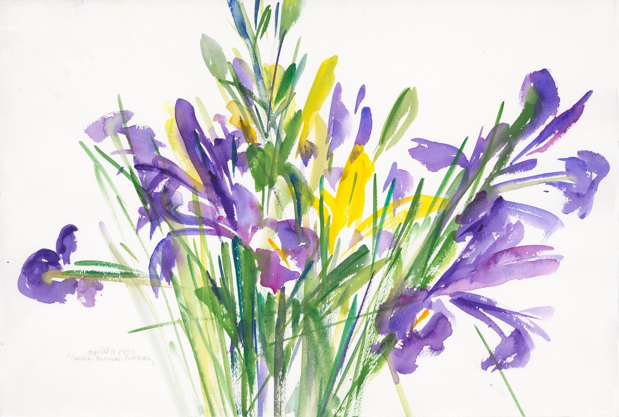 Iris da Claudia Hutchins Puechavy