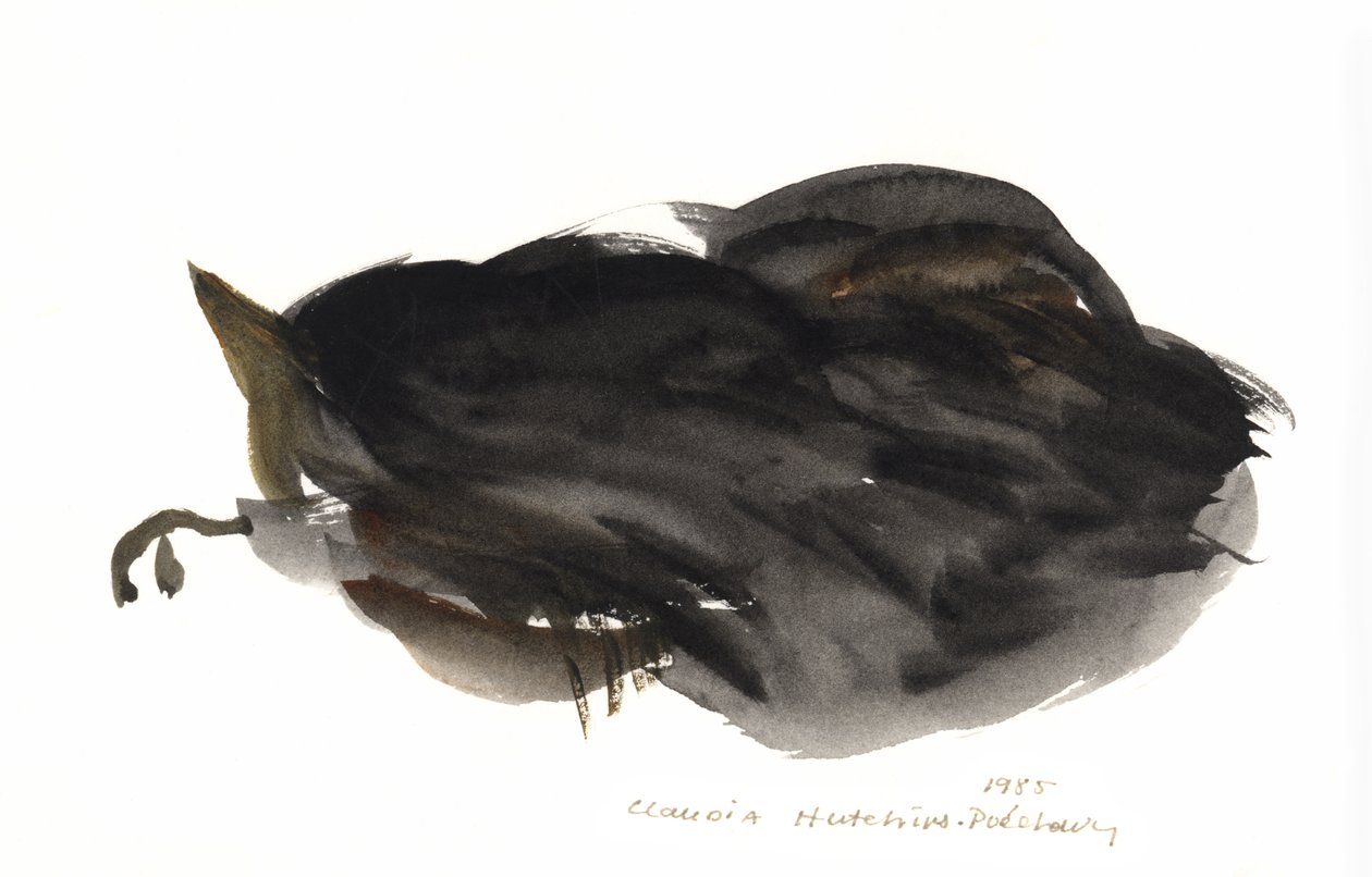 Gatto che dorme, 1985 da Claudia Hutchins Puechavy