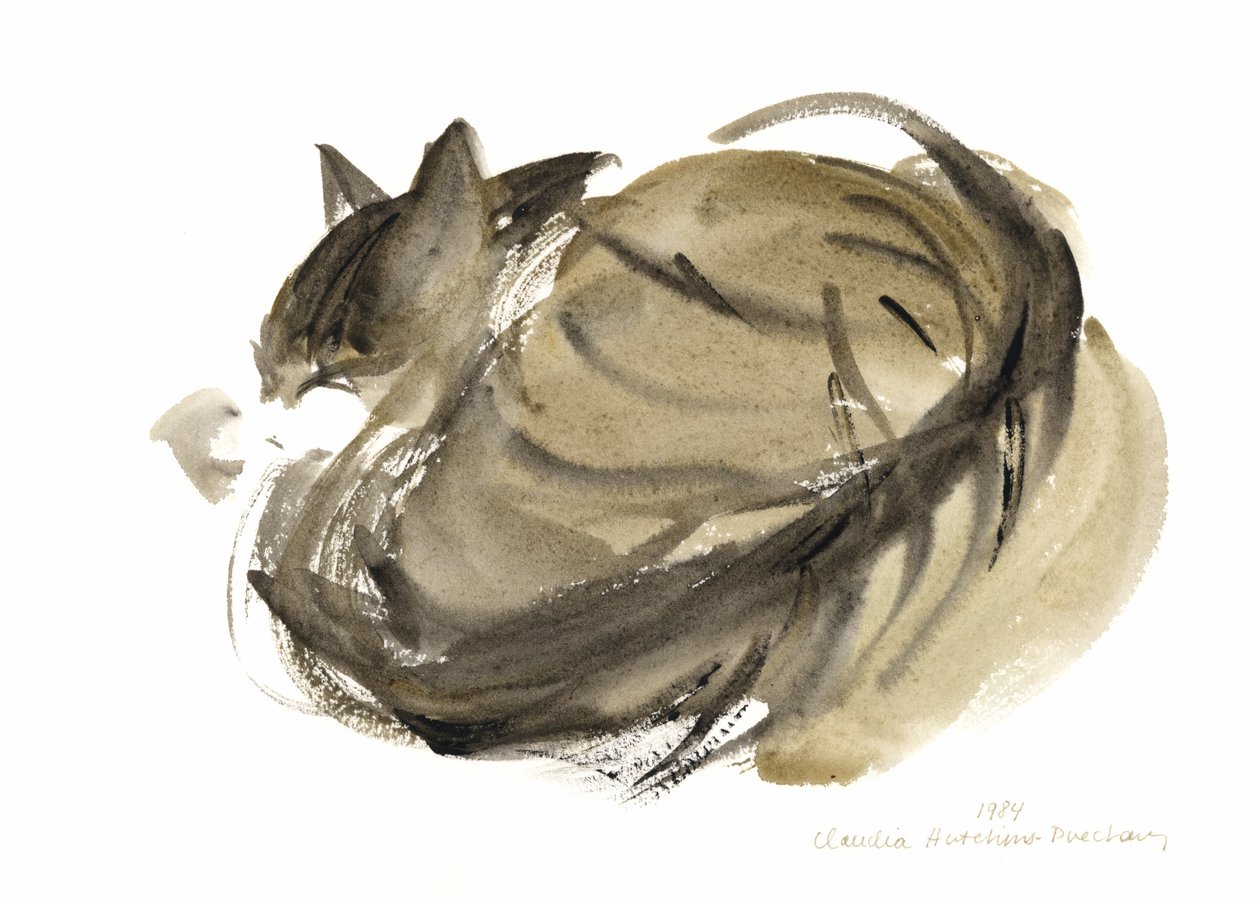 Gatto che dorme, 1985 da Claudia Hutchins Puechavy