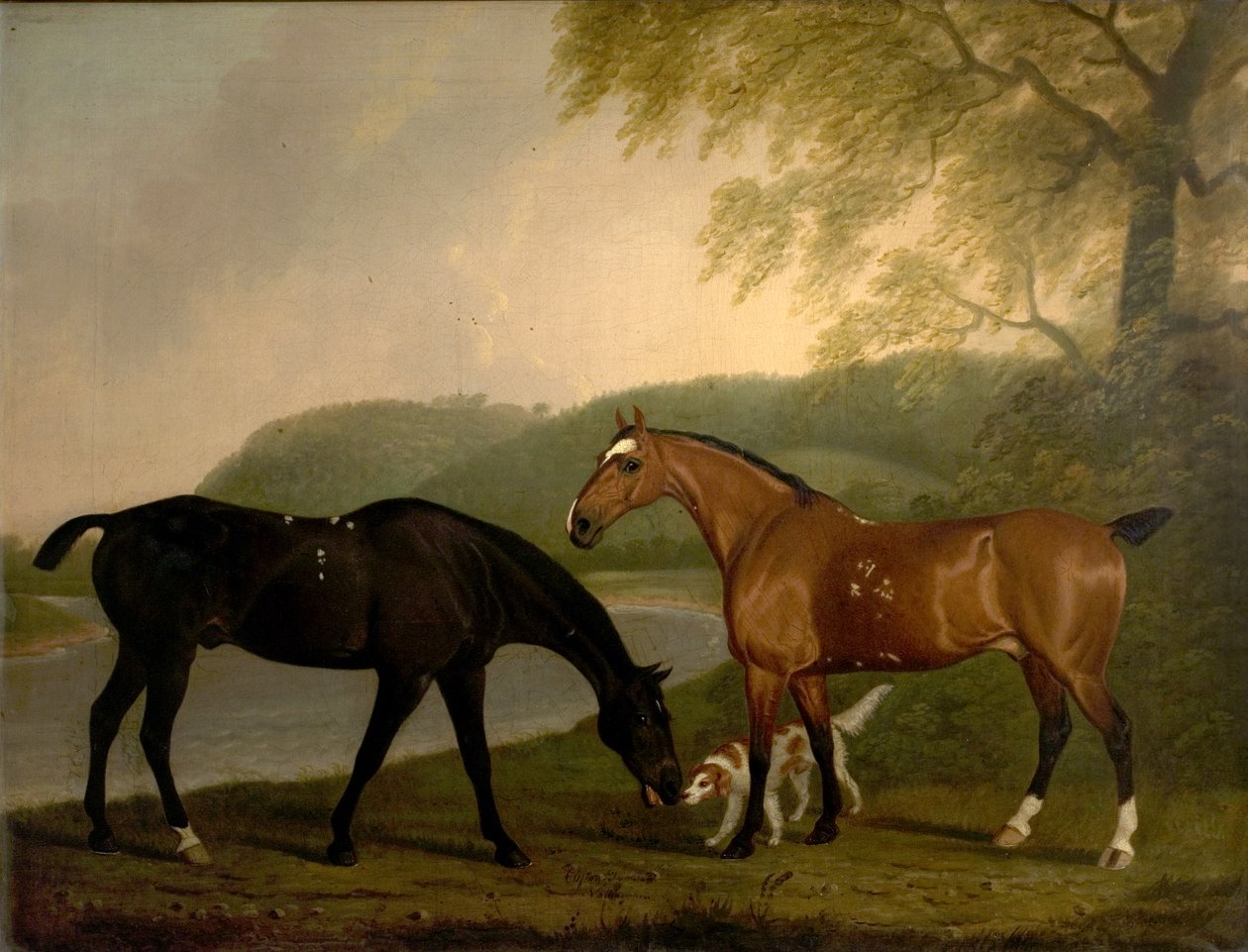 Cavalli e cane in un paesaggio, c.1830 da Clifton Tomson