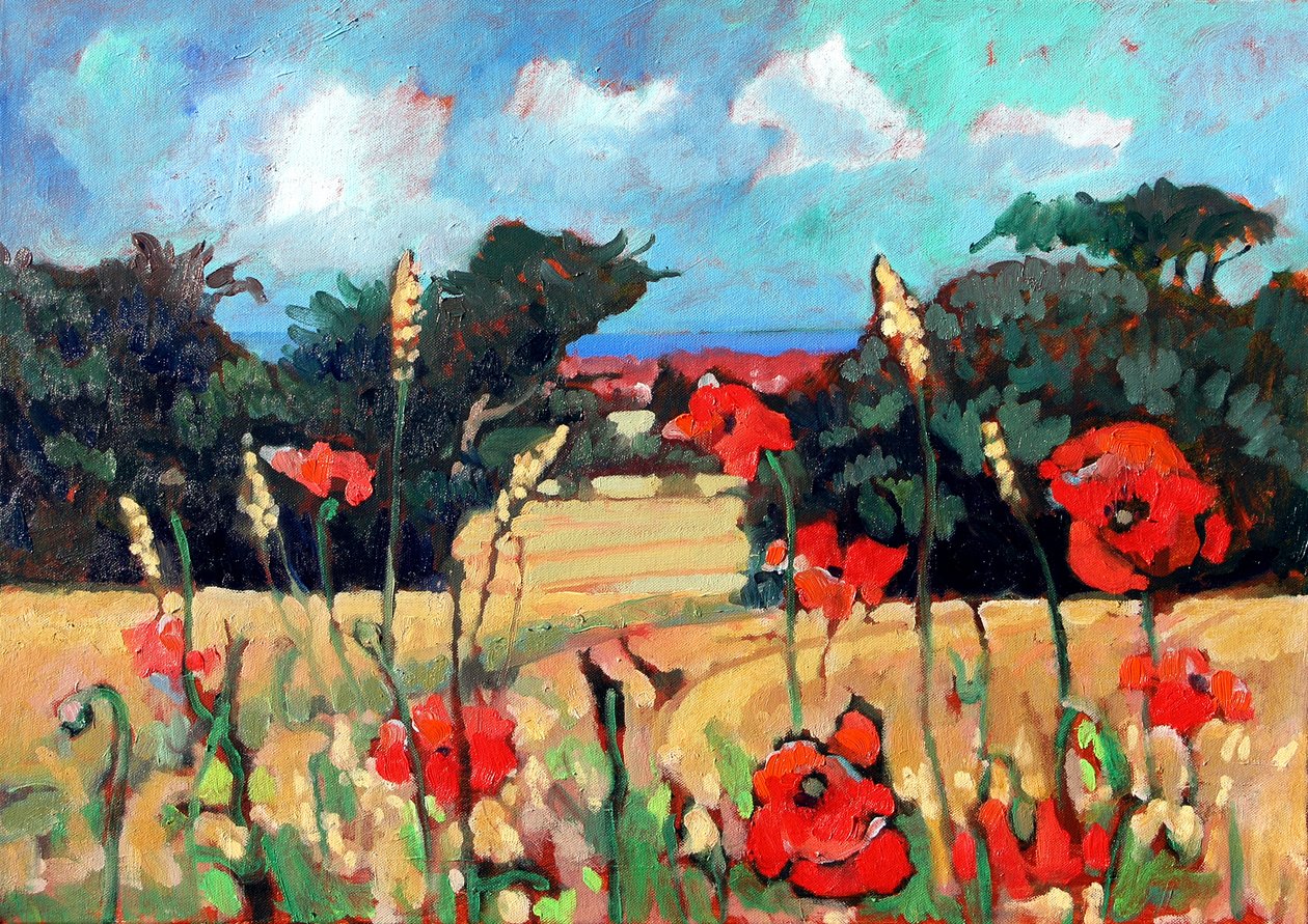 Papaveri del Kent, 2007 da Clive Metcalfe