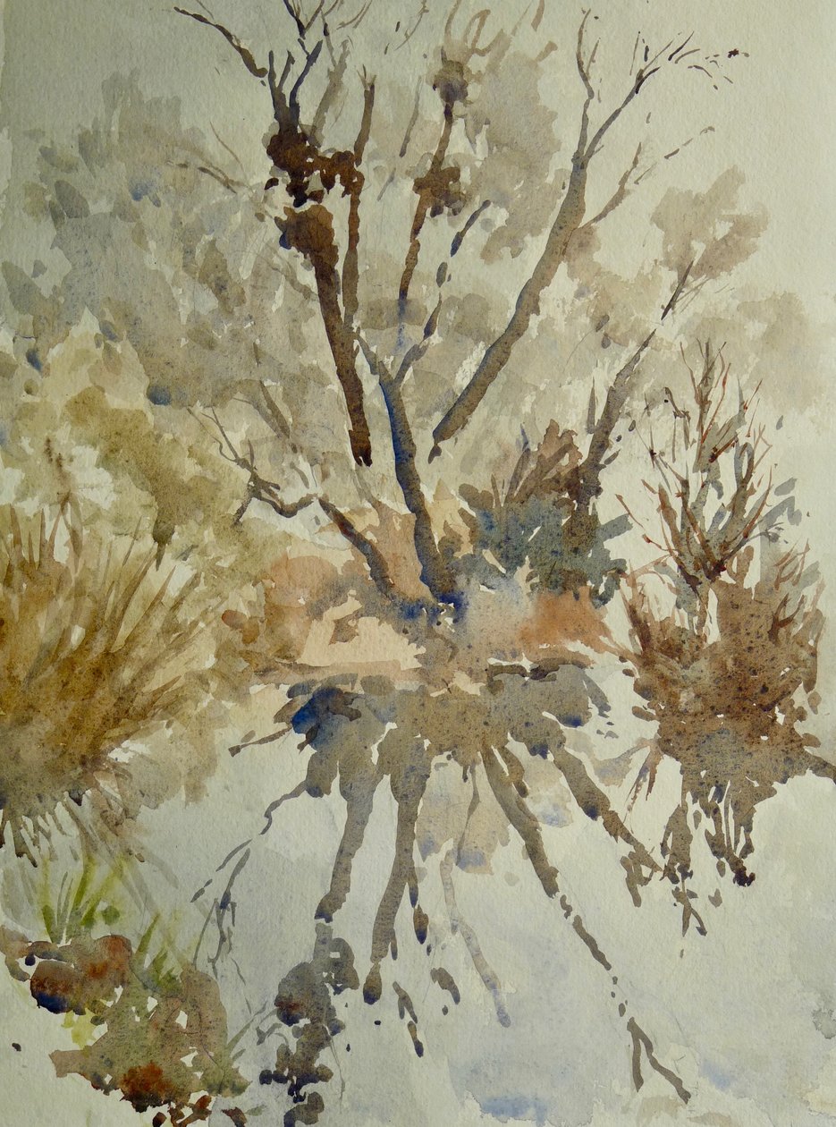 Coscia di montone, Eton, 2010 (acquerello) da Clive Wilson