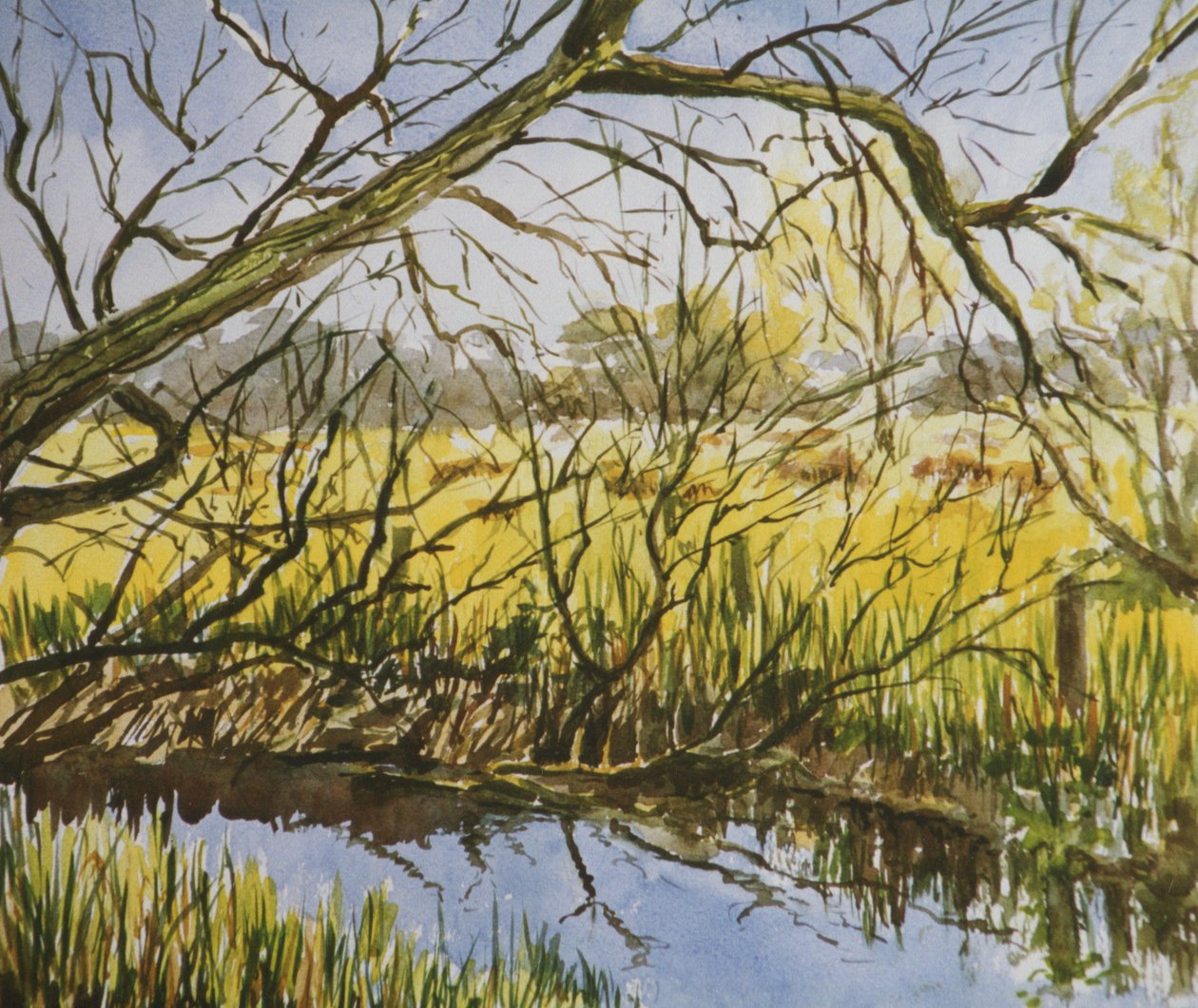 Water Meadows, Kintbury, pomeriggio di inizio maggio da Clive Wilson