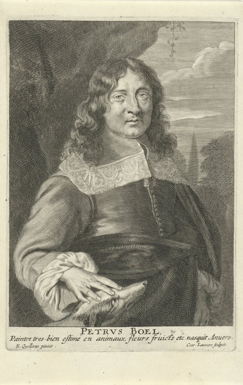 Ritratto di Pieter Boel da Coenraet Waumans