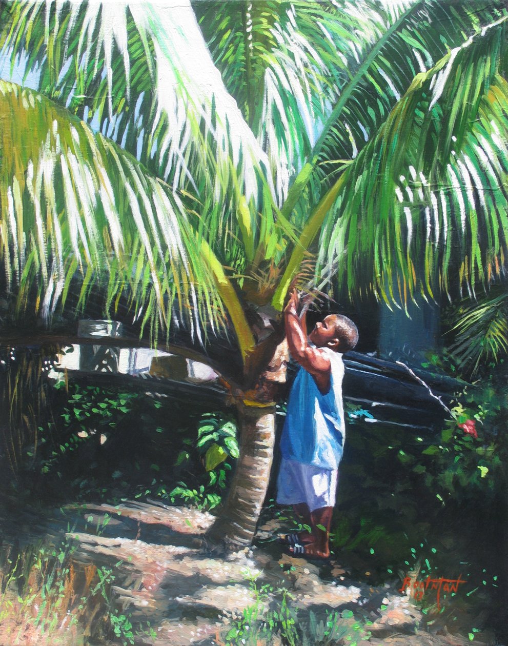 Ombra di cocco, 2014 da Colin Bootman