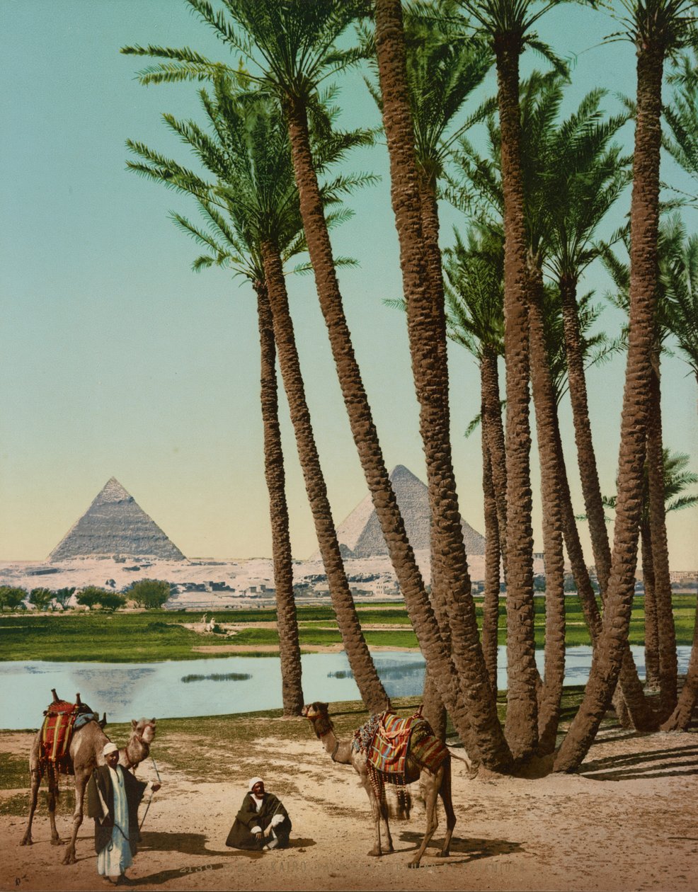 Palme, Beduini e Piramidi, Il Cairo, Egitto da Company Photoglob