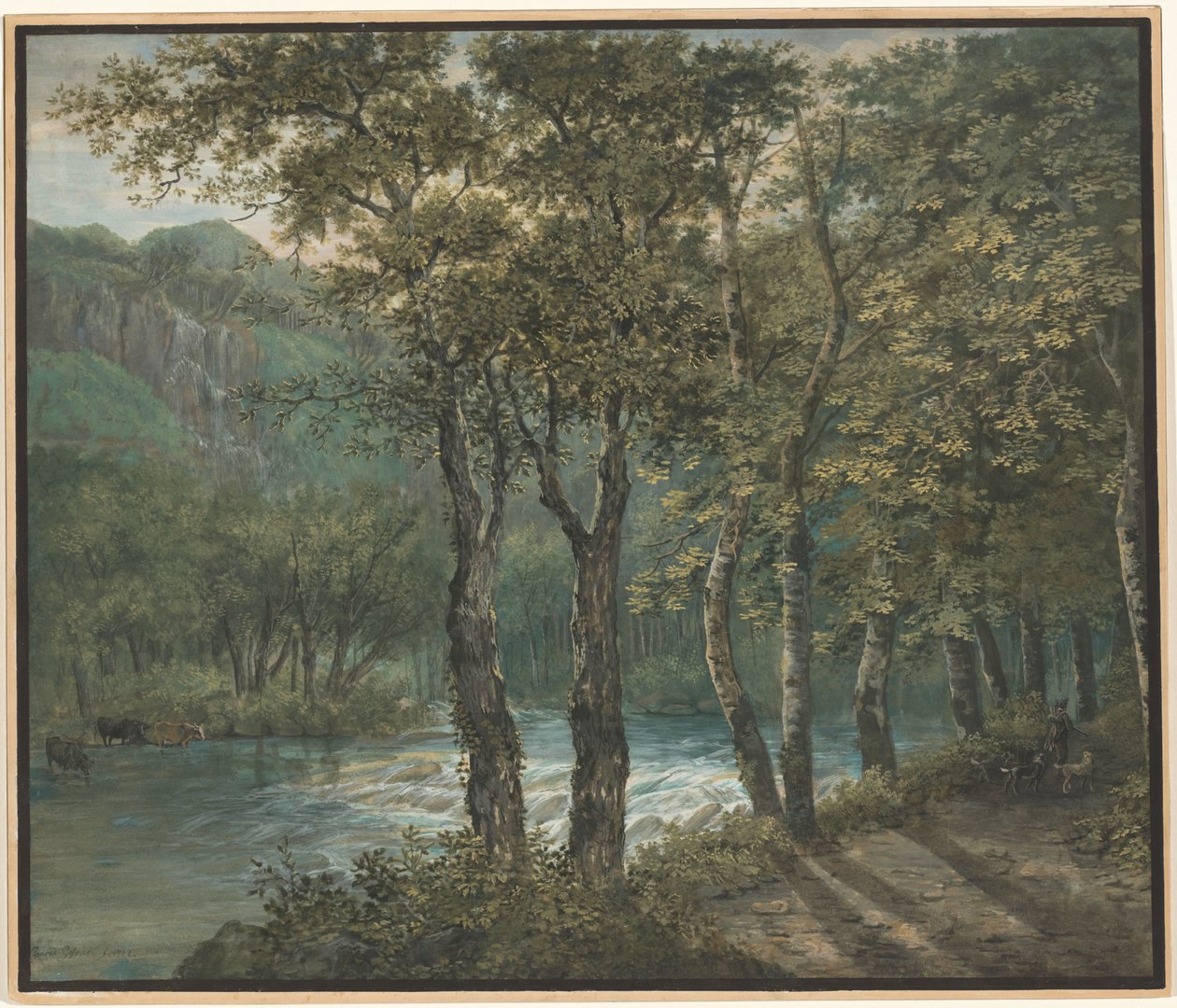 Luce solare filtrata attraverso gli alberi lungo il fiume Sihl da Conrad Gessner