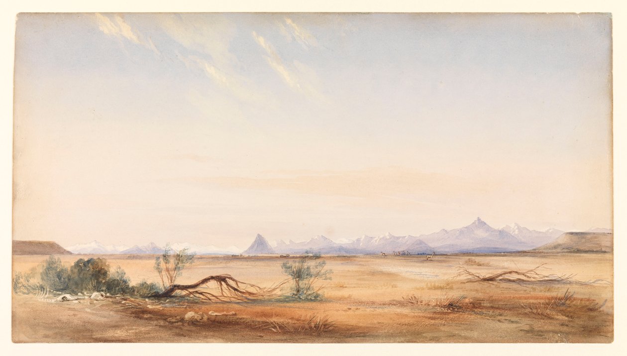 Cordigliera delle Ande, vista dalla Piana del Mistero, vicino a Santa Cruz, c.1878 da Conrad Martens