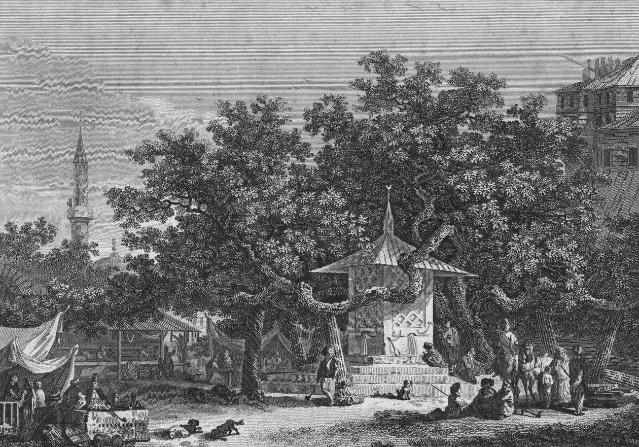 Veduta vicino alla città di Damasco, inciso da Heath da Conrad Martin Metz