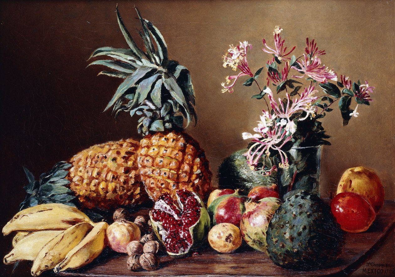 Natura Morta con Ananas da Conrad Wise Chapman