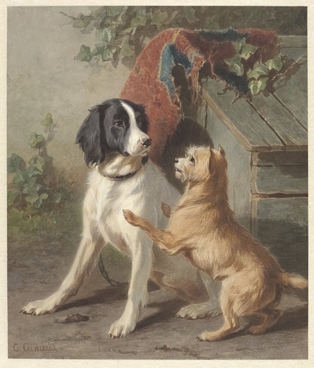 Due cani vicino a una cuccia da Conradijn Cunaeus