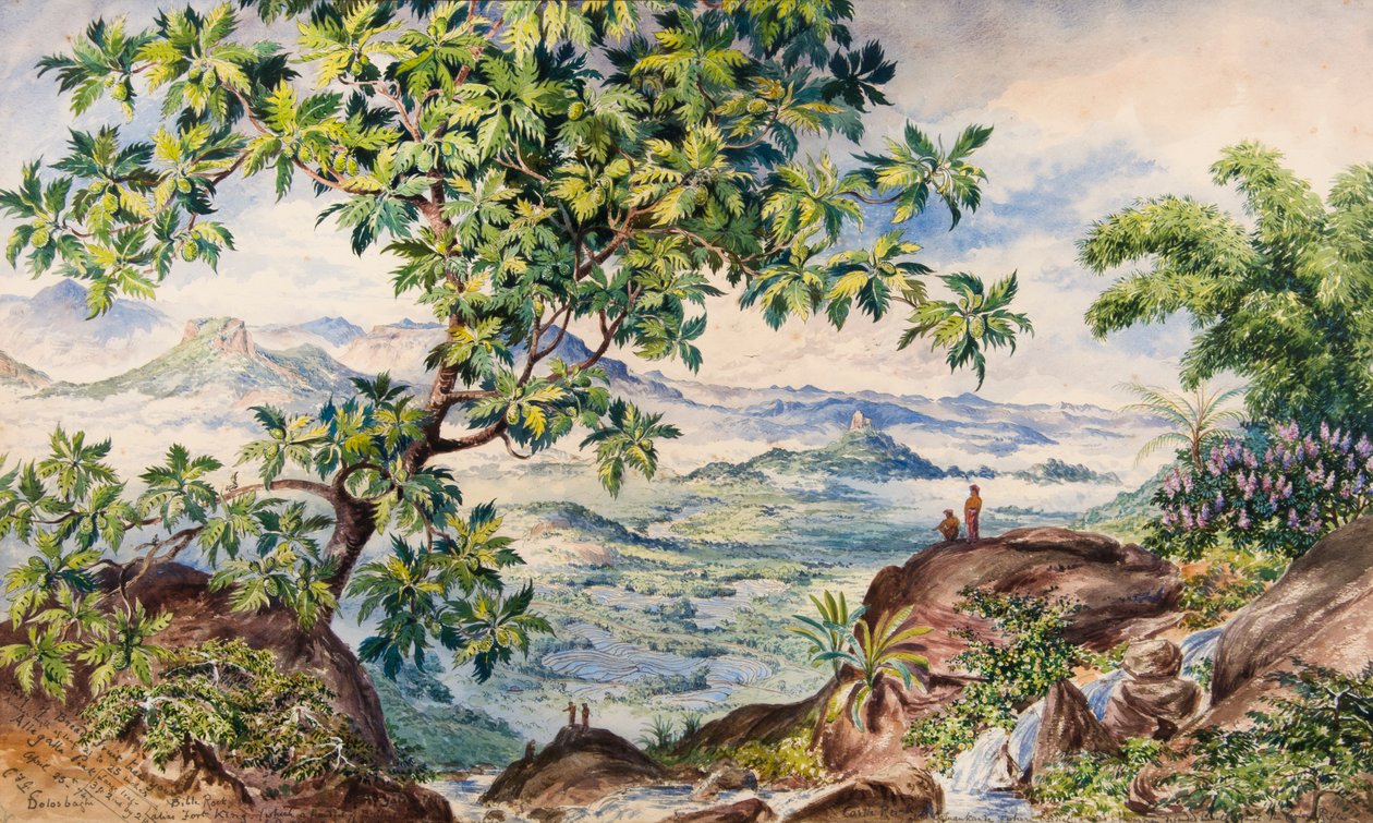 Studio dell