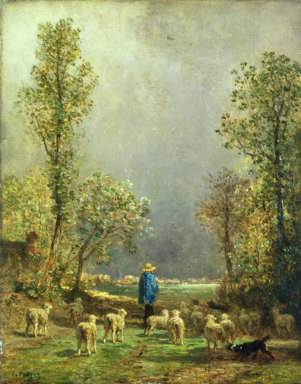 Pecore che osservano una tempesta da Constant Emile Troyon