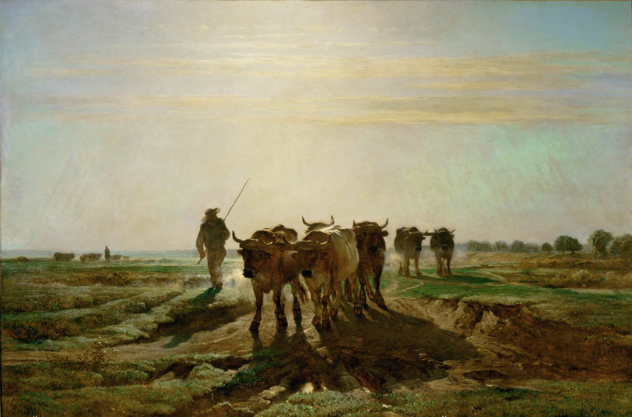 Boeufs se rendant au travail - bestiame che va al lavoro, mattina. 1855 ... da Constant-Emile Troyon