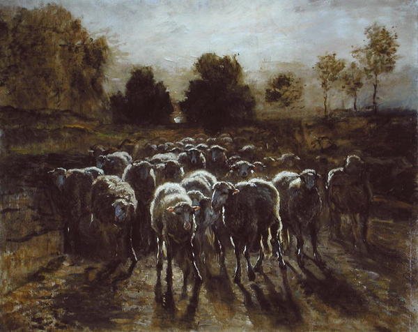 Gregge di pecore, o Il ritorno del gregge da Constant Emile Troyon