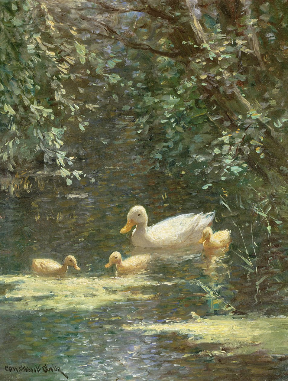 Mamma anatra con anatroccoli nell