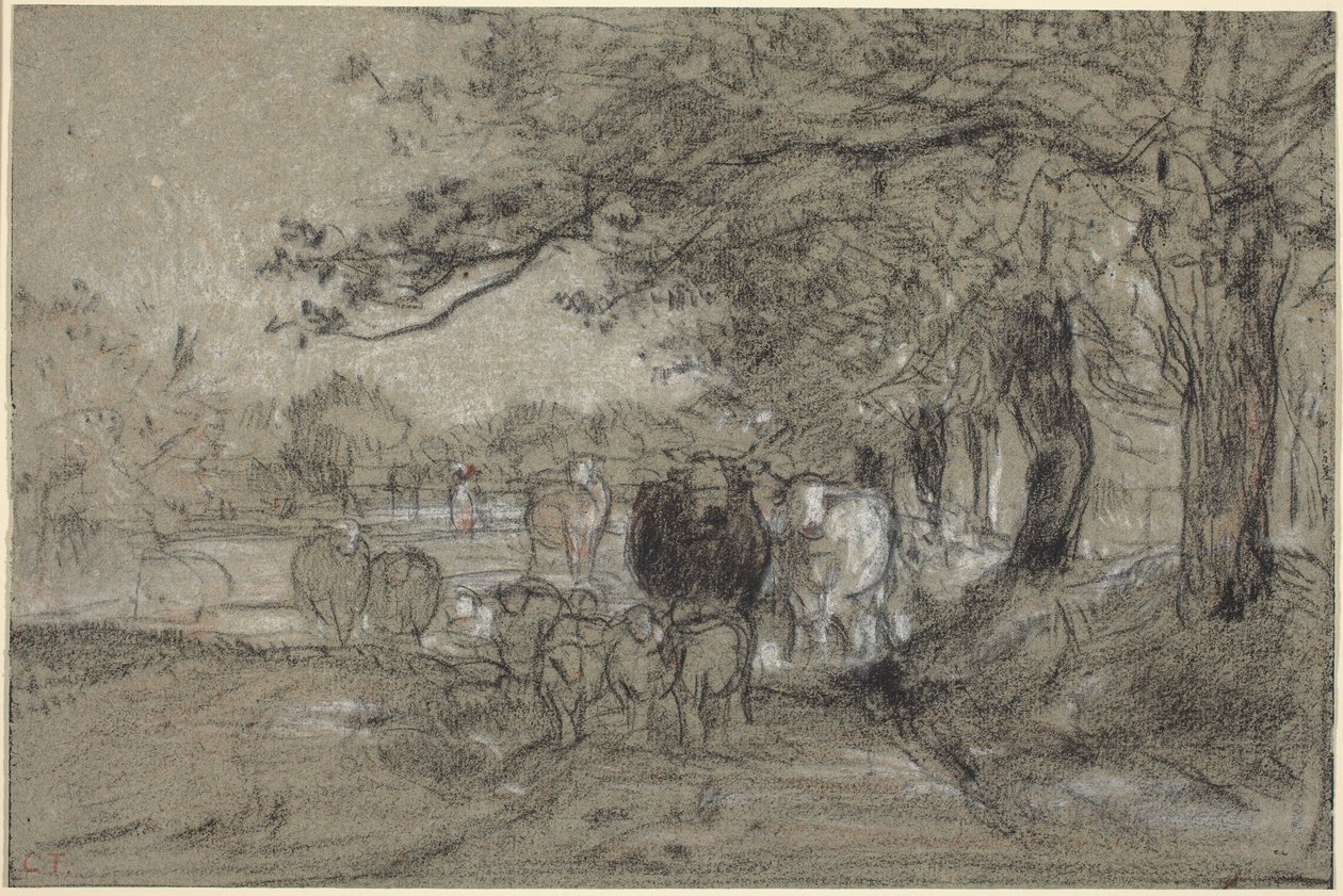 Mucche e pecore sotto gli alberi da Constant Troyon
