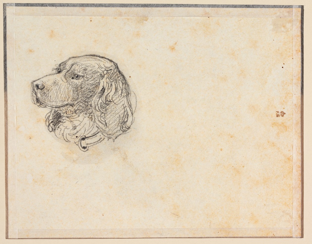 Testa di cane da Constantin Hansen