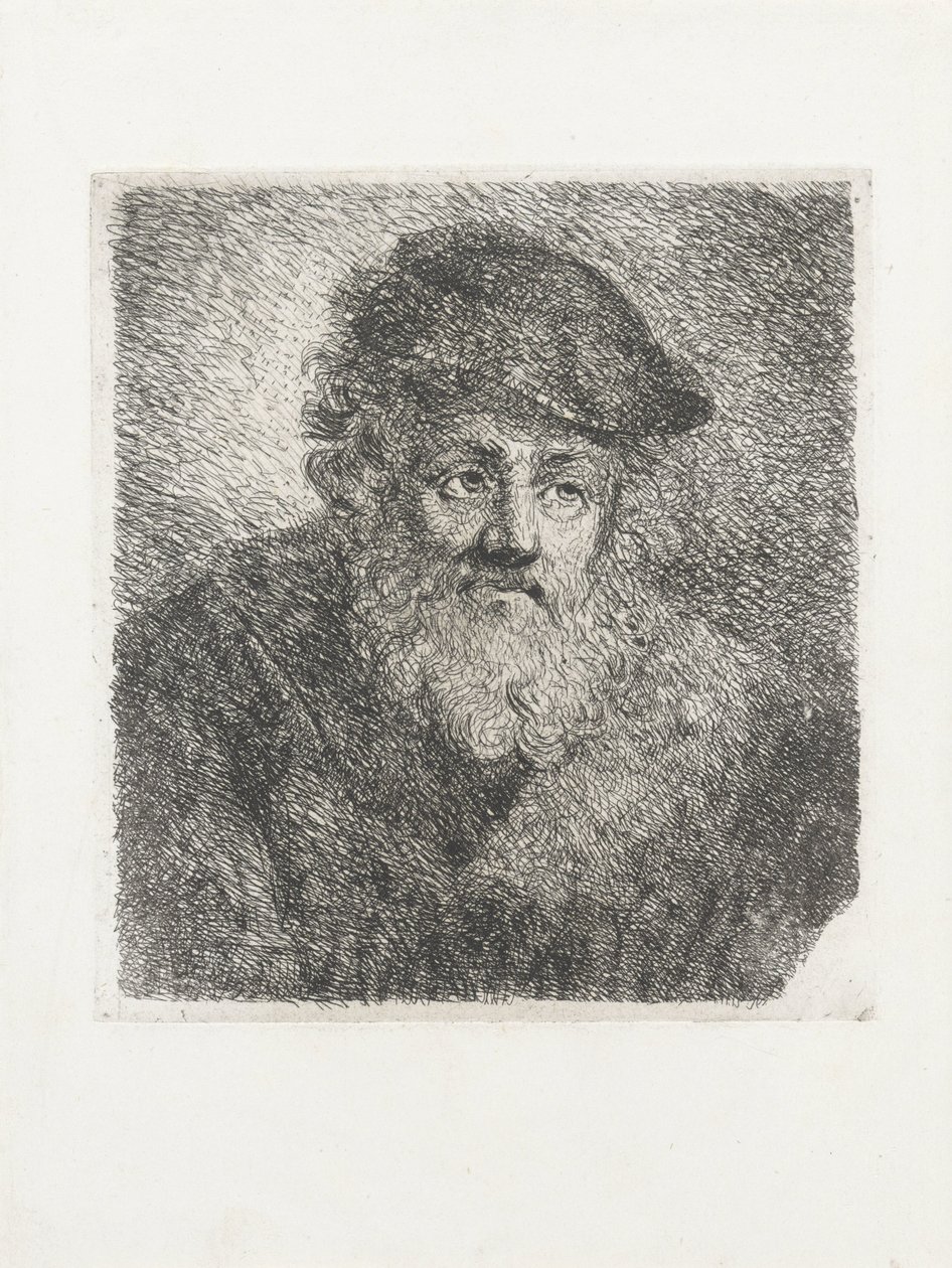 Vecchio con barba e berretto da Cornelia Scheffer Lamme