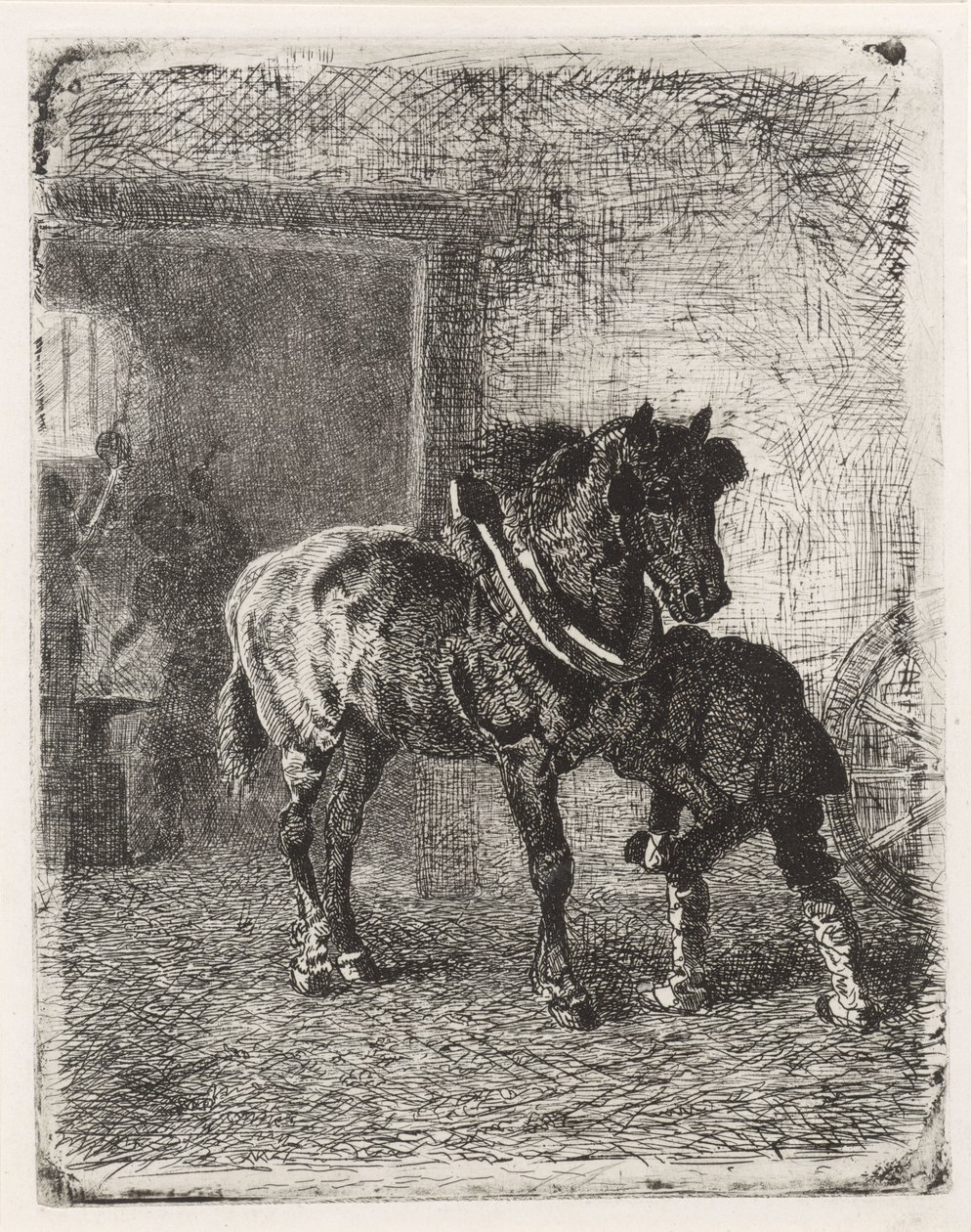 Cavallo che riceve ferri di cavallo in una fucina da Cornelis Albertus Johannes Schermer