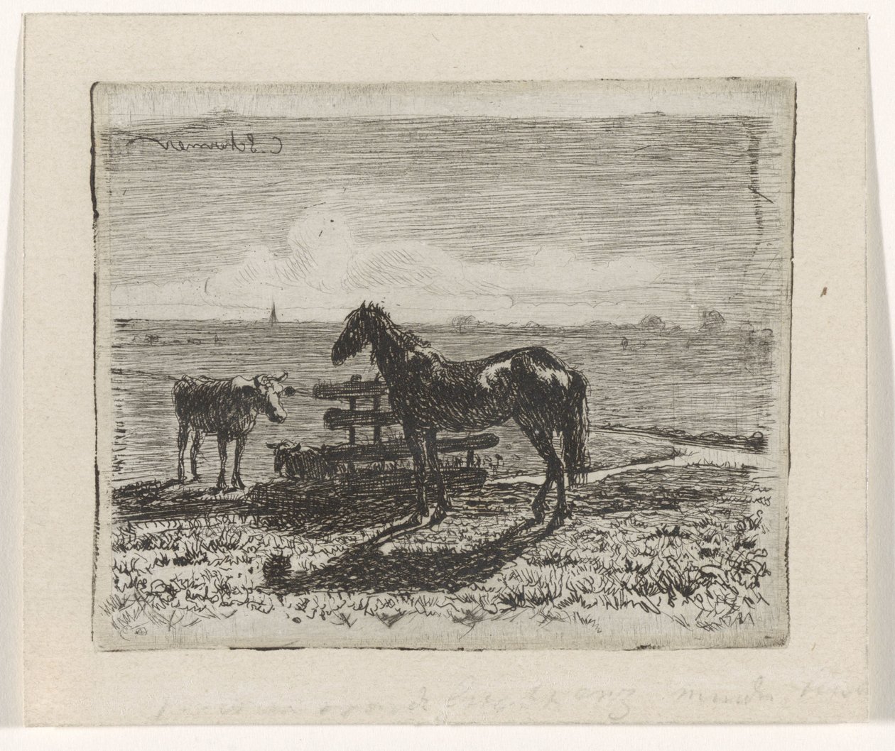 Prato con un cavallo e due mucche da Cornelis Albertus Johannes Schermer