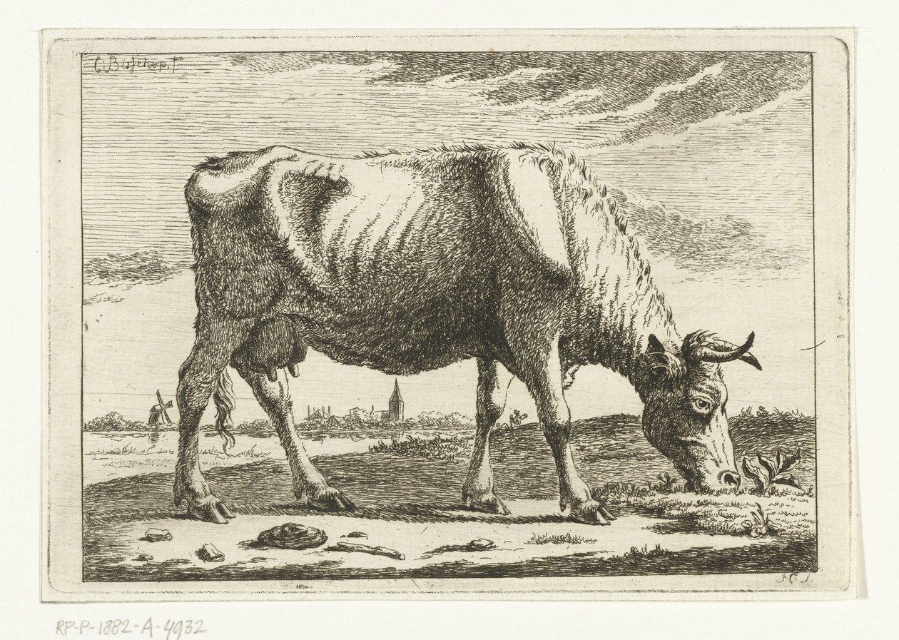 Paesaggio con mucca al pascolo (Mucche) da Cornelis  Bisschop