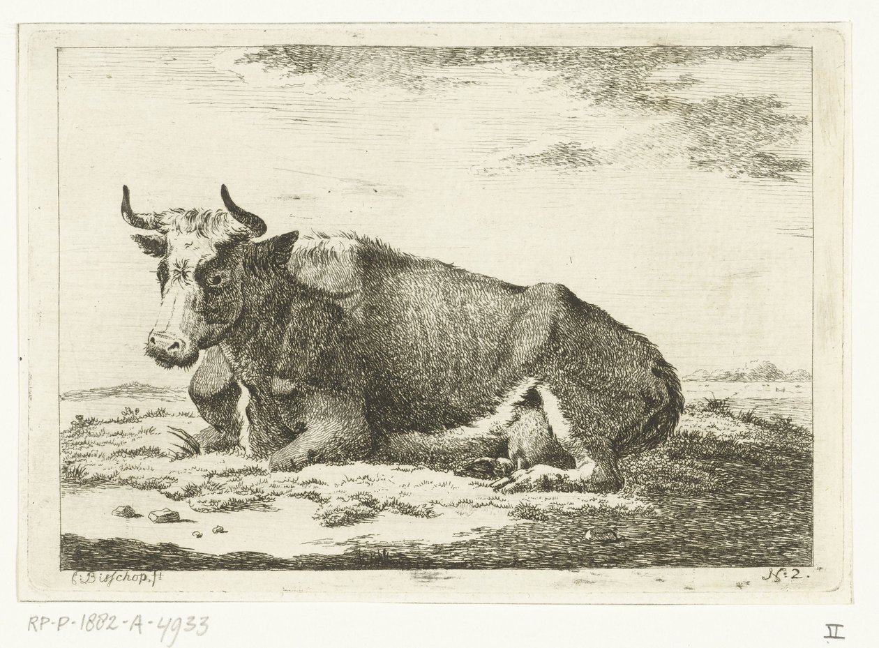 Paesaggio con mucca sdraiata con corna da Cornelis  Bisschop