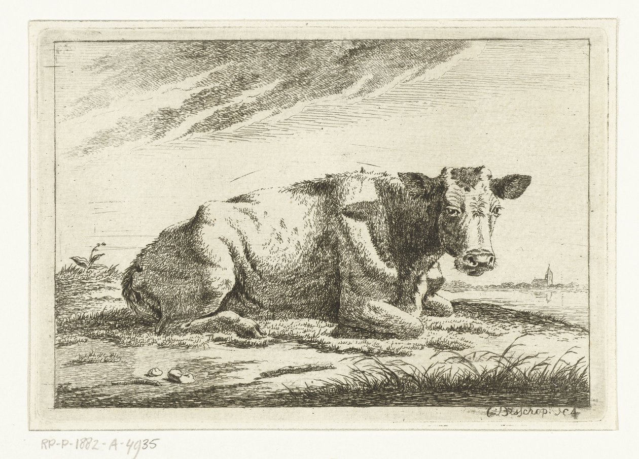 Paesaggio con mucca sdraiata senza corna da Cornelis  Bisschop