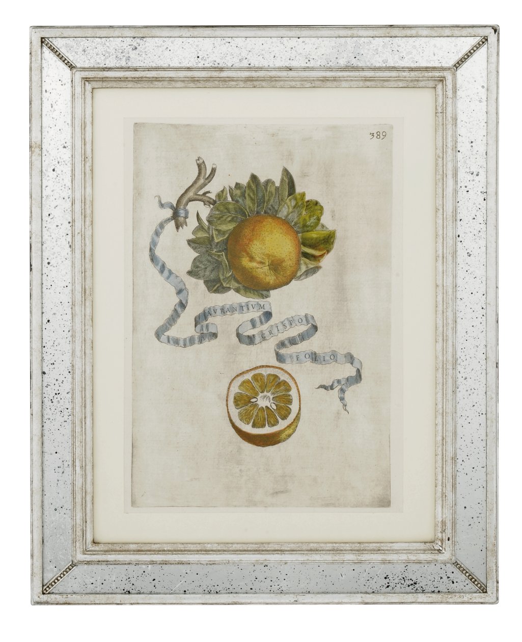 Foglia arricciata arancione, tavola 389 da 