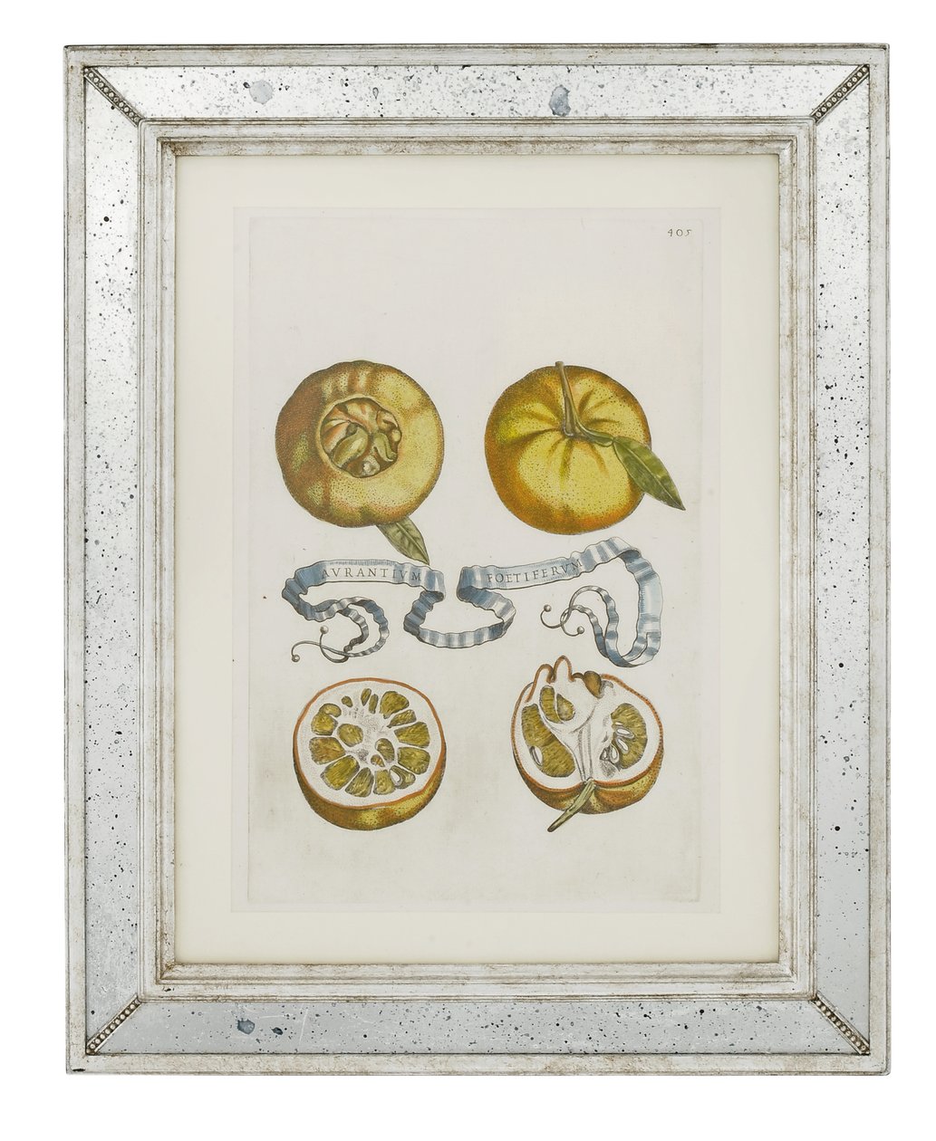Arance, tavola 405 da 
