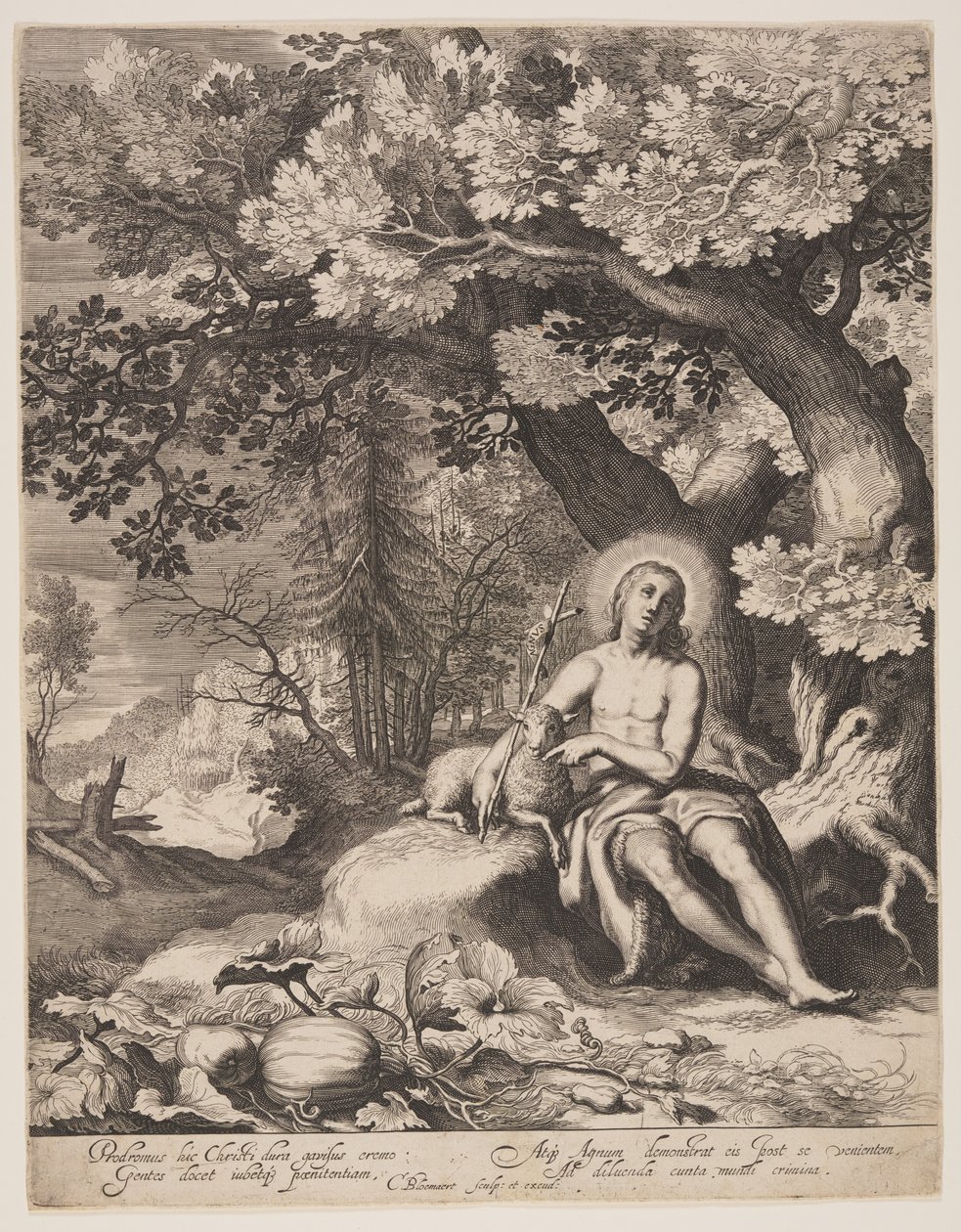 San Giovanni Battista in un paesaggio da Cornelis Bloemaert