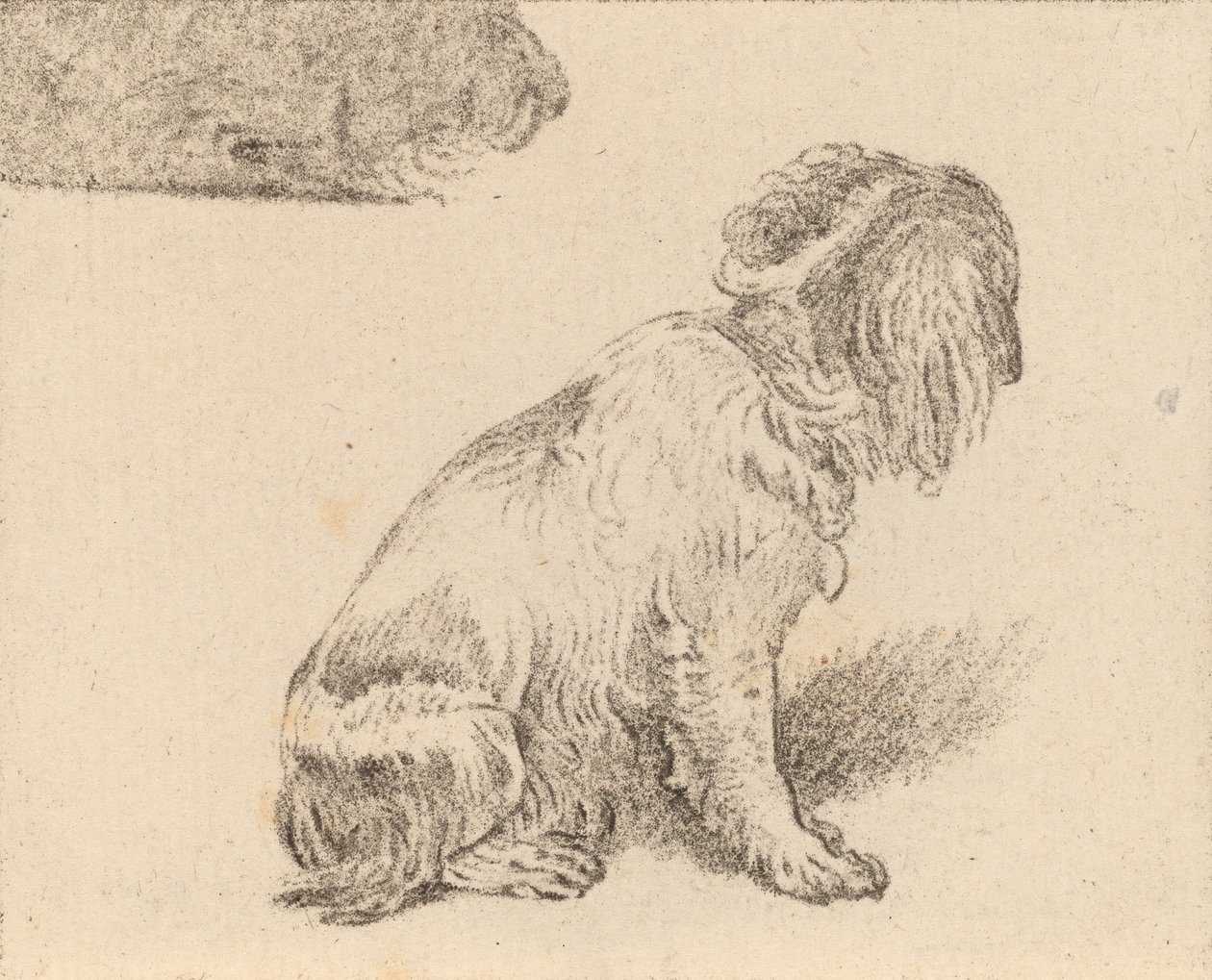 Cane seduto da Cornelis Brouwer