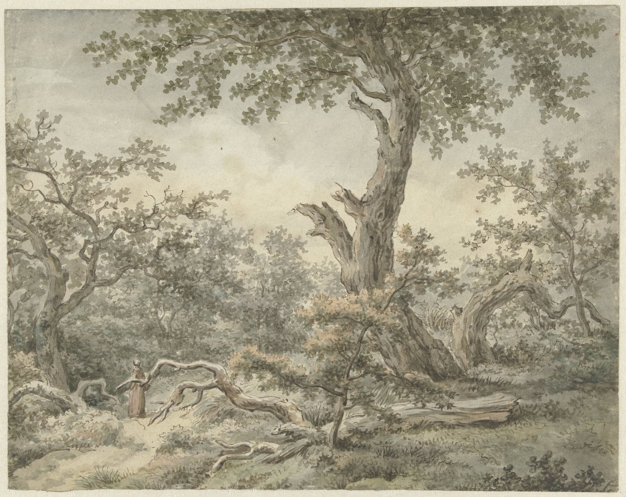 Paesaggio boschivo da Cornelis Buys