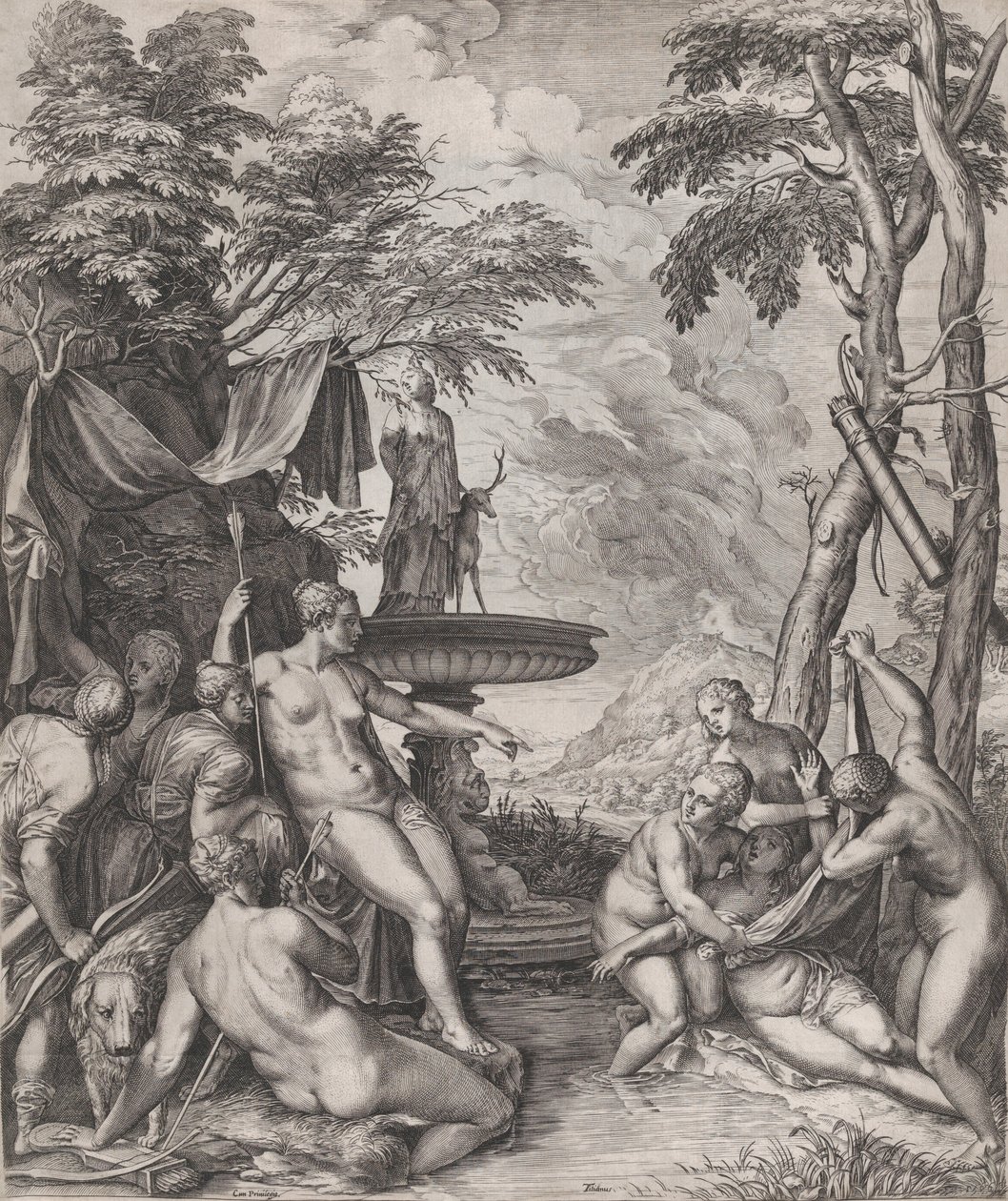 Diana scopre la gravidanza di Callisto, 1566 da Cornelis Cort