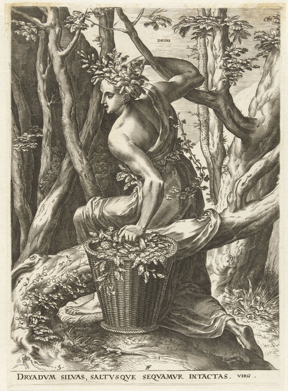 Dryas da Cornelis Cort