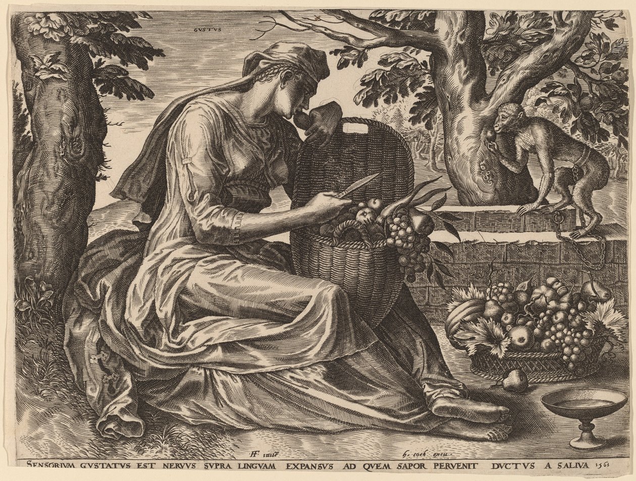 Gustus da Cornelis Cort after Frans Floris I