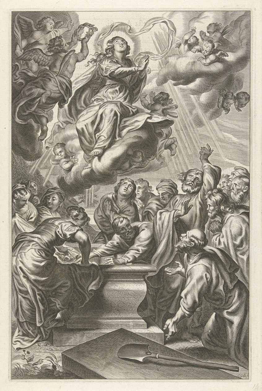Ascensione di Maria da Cornelis Galle (II)