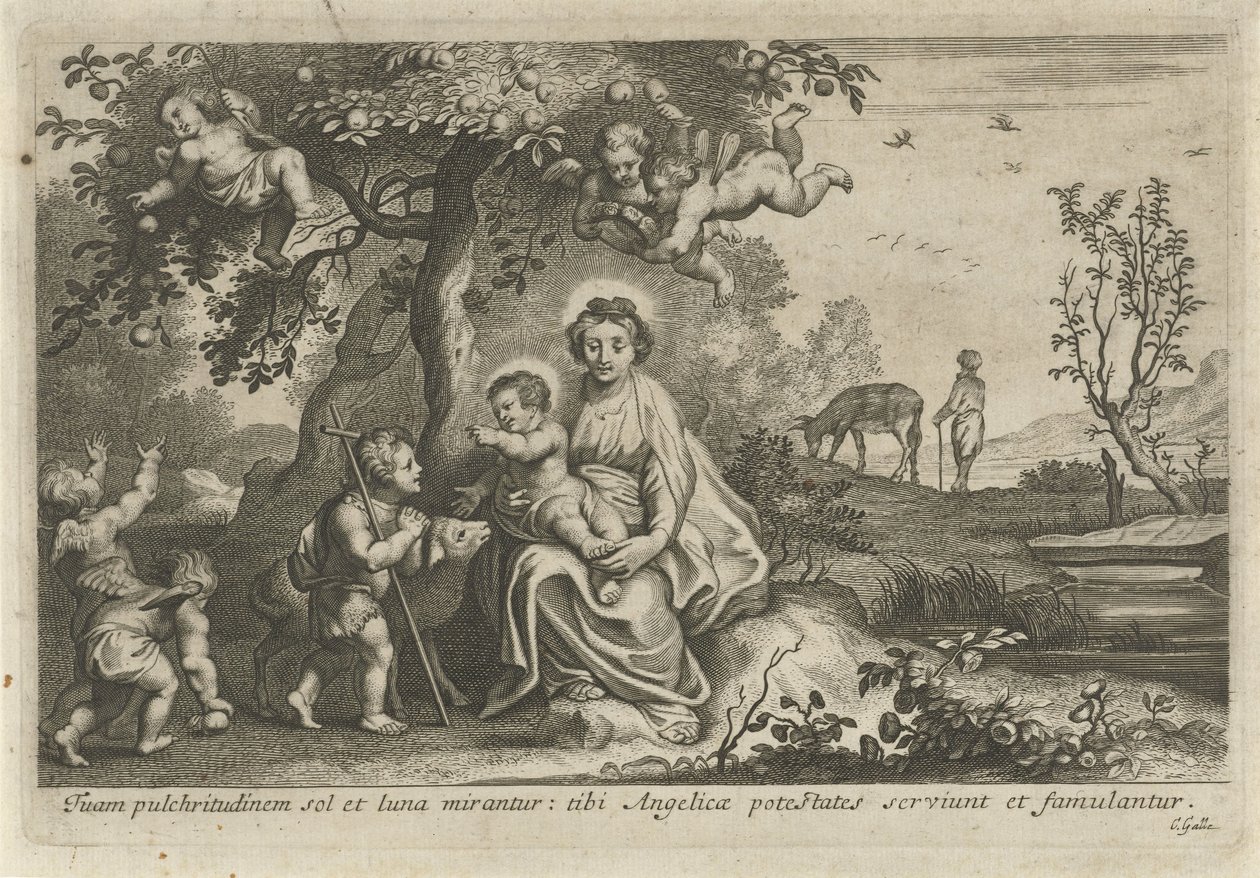 Maria con Bambino e Giovanni Battista da Cornelis Galle (II)