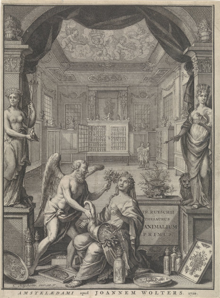 Allegoria della Natura da Cornelis Huyberts
