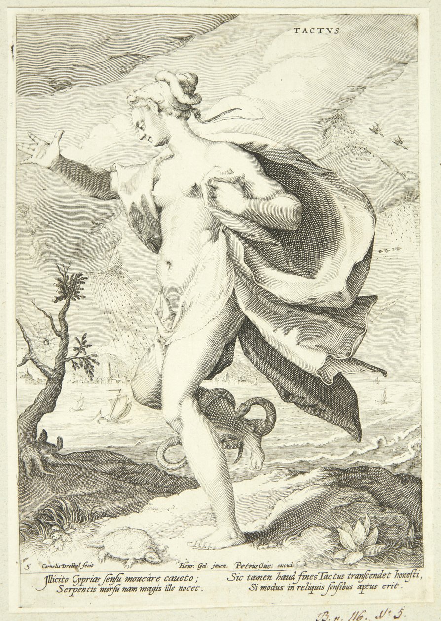 Il senso del tatto da Cornelis Jacobsz Drebbel