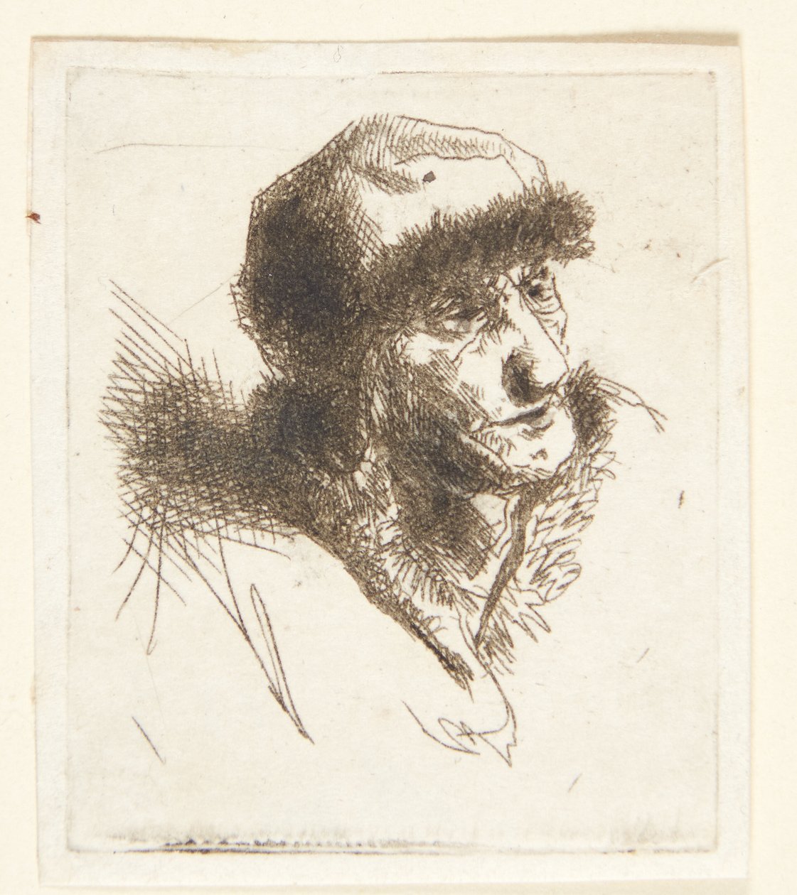 Vecchia donna con cappello di pelliccia da Cornelis Pietersz Bega