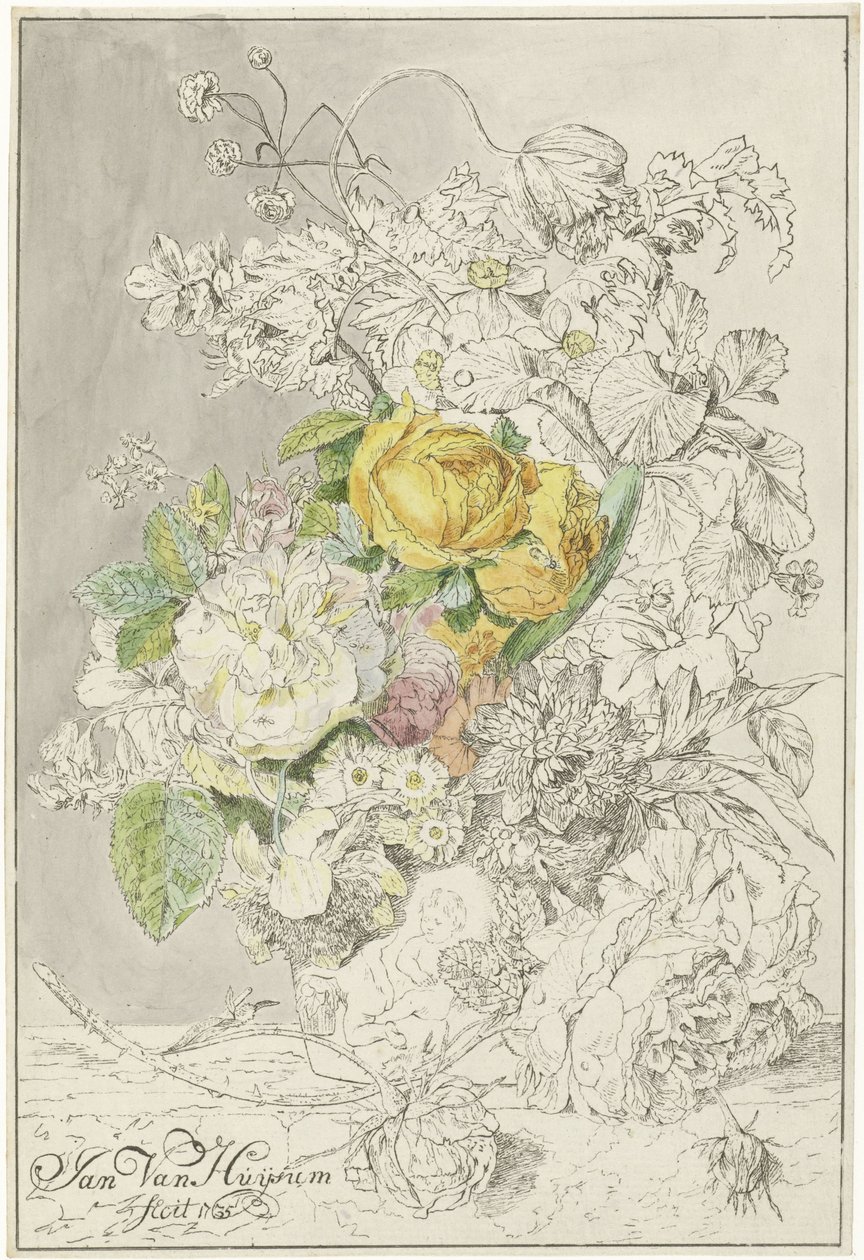 Composizione floreale da Cornelis Ploos van Amstel (signed by artist)