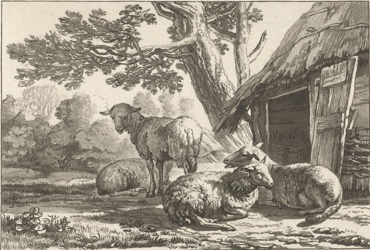 Ovile da Cornelis Ploos van Amstel (signed by artist)