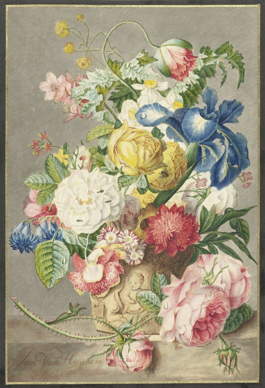 Bouquet da Cornelis Ploos van Amstel