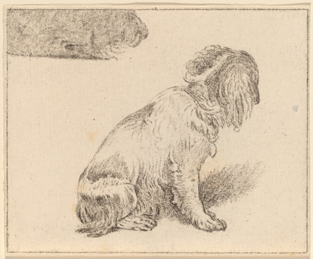 Cane Seduto da Cornelis Ploos van Amstel
