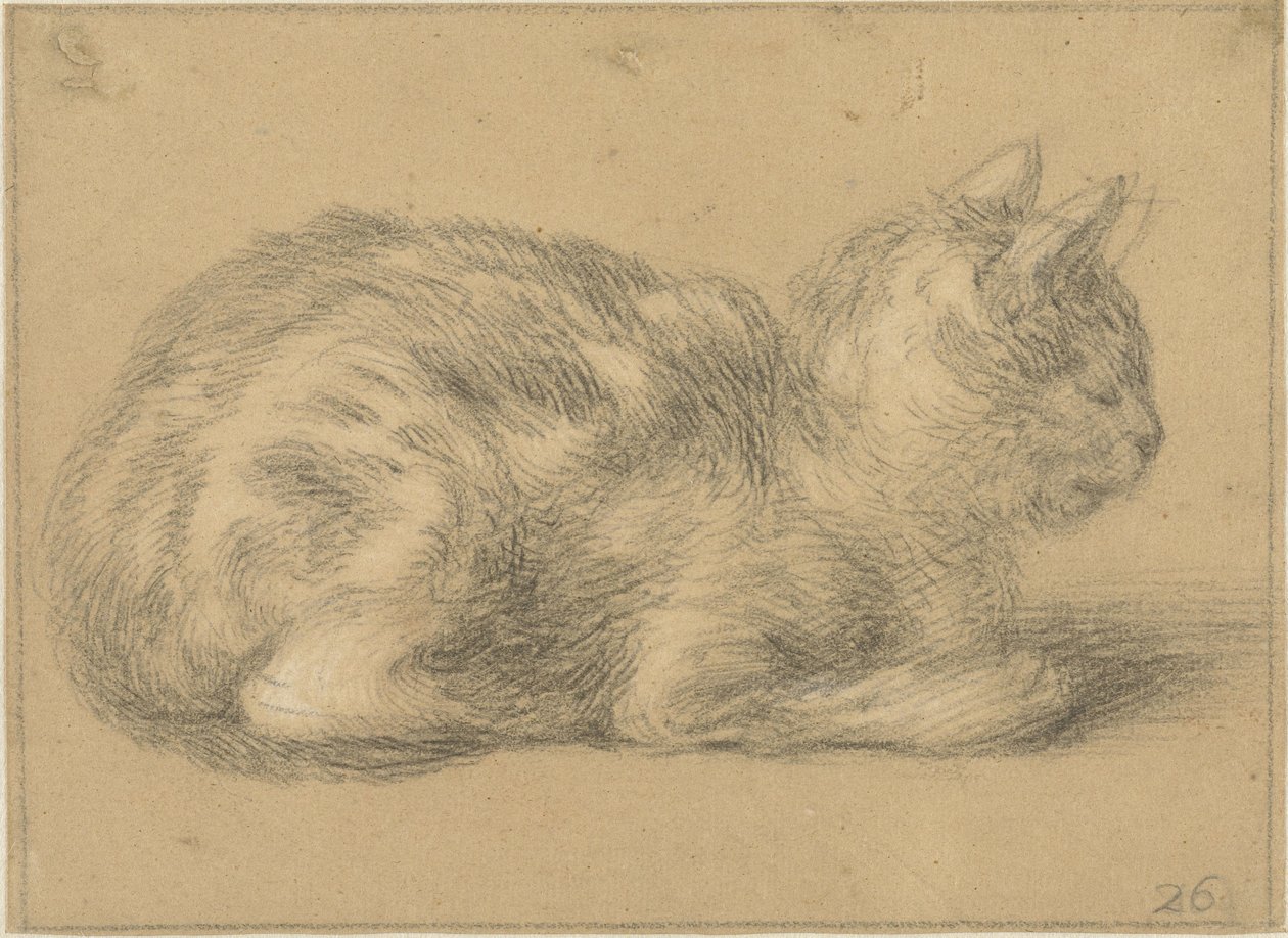 Gatto seduto, verso destra da Cornelis Saftleven (possibly)